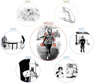 workplan